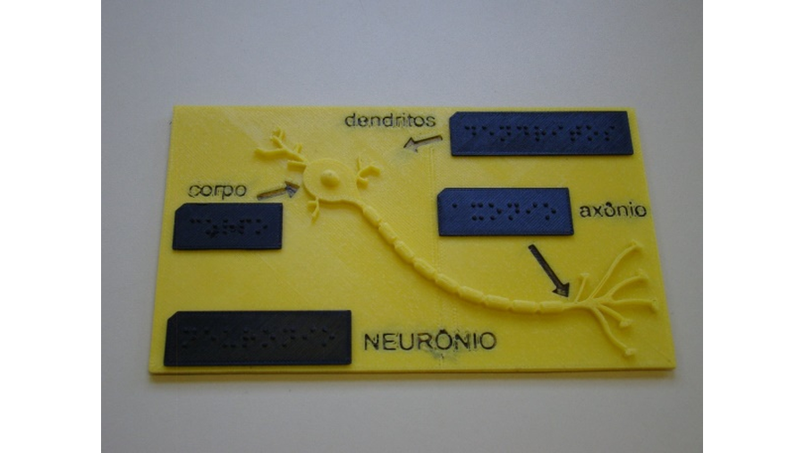 A imagem apresenta o recurso didático denominado Partes do Neurônio, confeccionadas em plástico, por impressão 3D, e é representado por uma placa plástica com as partes do neurônio com identificação em braille.