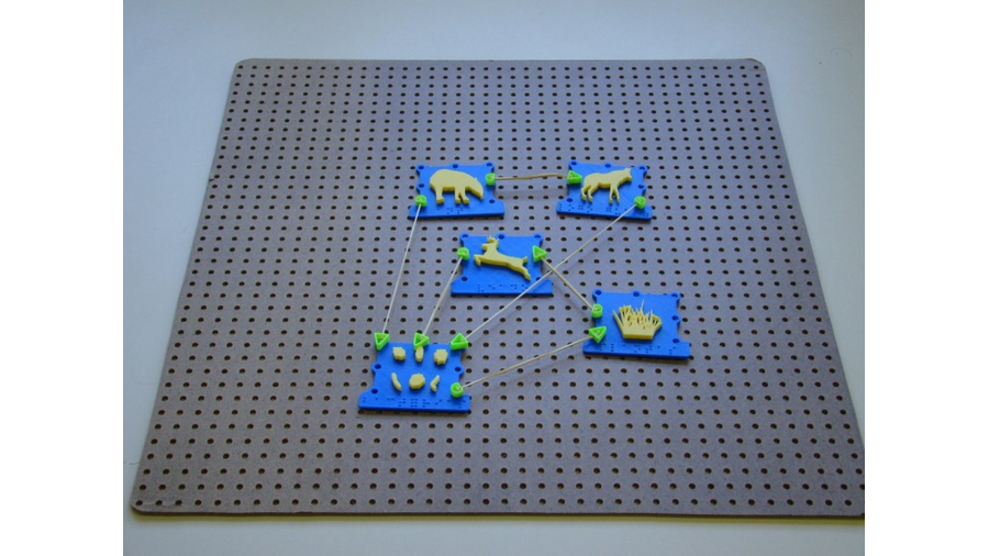 A imagem apresenta o recurso didático denominado Redes e Cadeias Alimentares, e é composto por placa de madeira perfurada e por elementos confeccionadas em plástico, por impressão 3D representando 5 elementos de uma cadeia alimentar (fungos, sementes, veado, anta e lobo-guara) interligados por elásticos de papelaria.